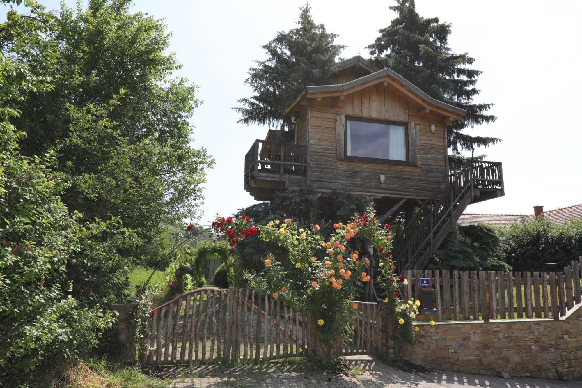 Villa Baumhaus à Imbach Extérieur photo