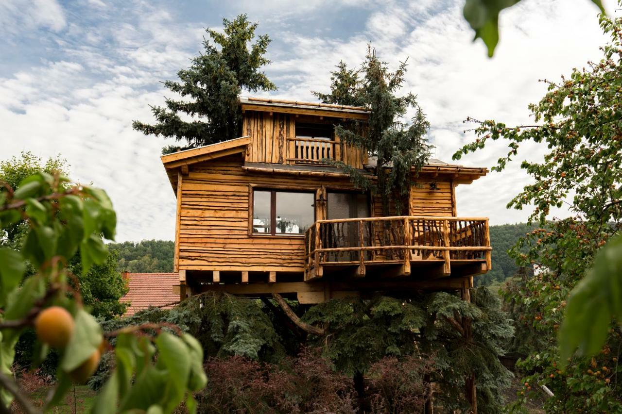 Villa Baumhaus à Imbach Extérieur photo